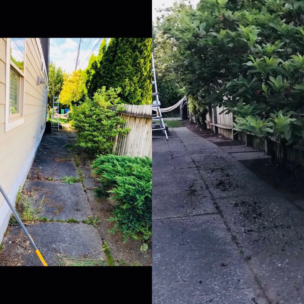 Top-rated residential landscaping experts serving Seattle, WA - Vallartas landscaping