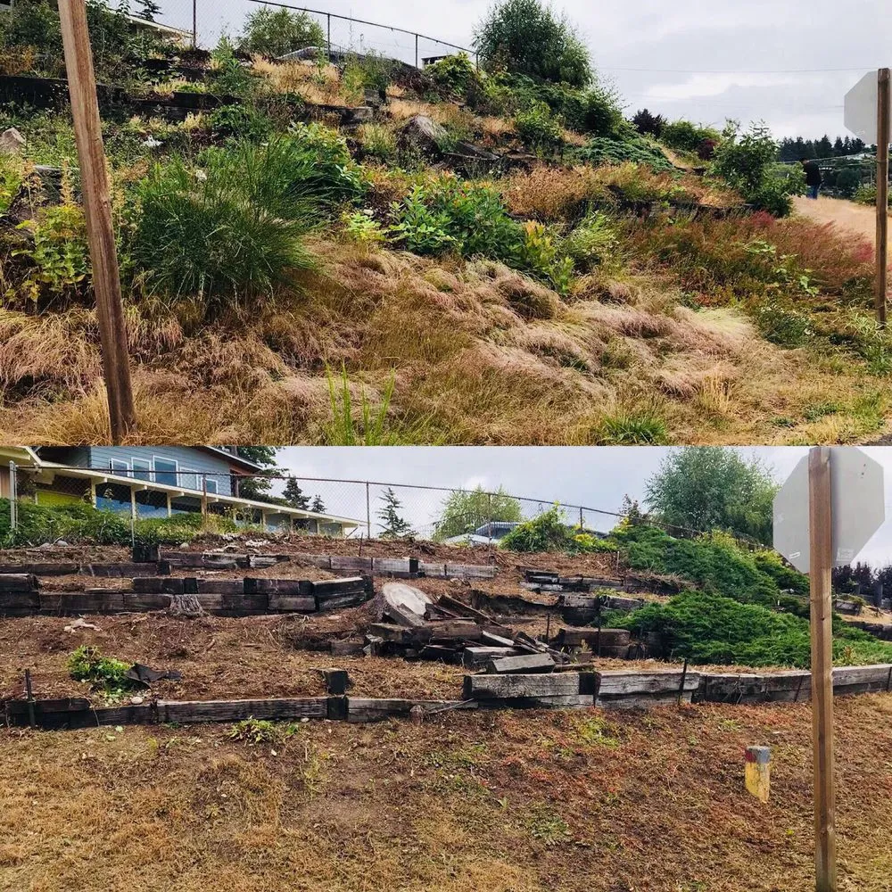 Affordable lawn mowing service in Seattle, WA - Vallartas landscaping