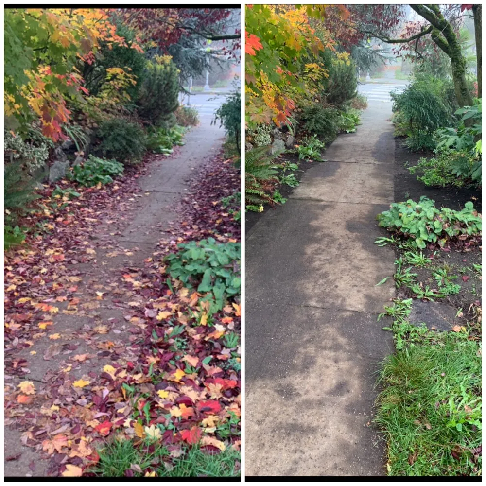 Affordable residential landscaping in Seattle, WA - Vallartas landscaping