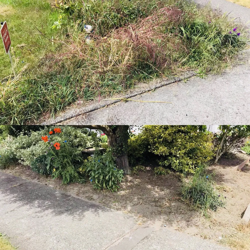 Reliable outdoor landscaping in Seattle, WA - Vallartas landscaping