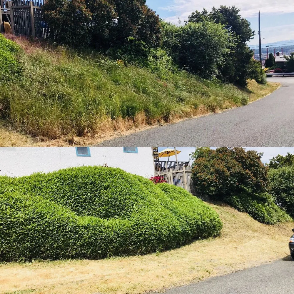 Top-rated lawn mowing service for outdoor upgrades across Seattle, WA - Vallartas landscaping