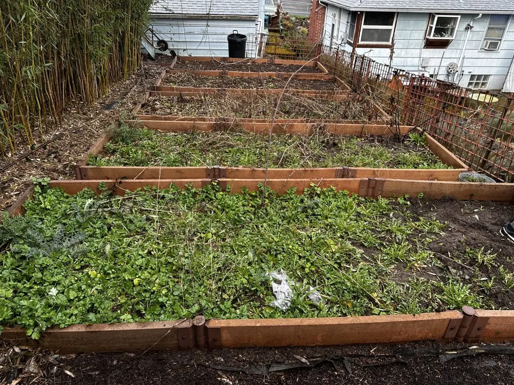 Affordable outdoor landscaping experts serving Seattle, WA - Valle Gardening