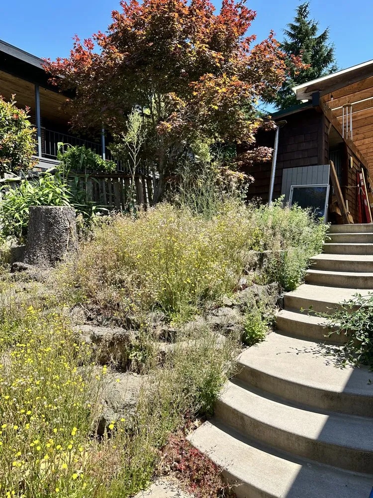 Local lawn care service experts serving Seattle, WA - Valle Gardening