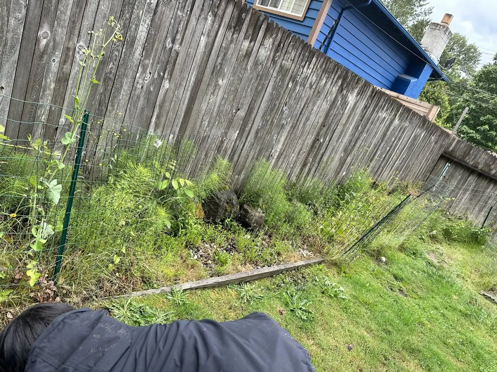 Affordable lawn care service for beautiful yards in Seattle, WA by Valle Gardening