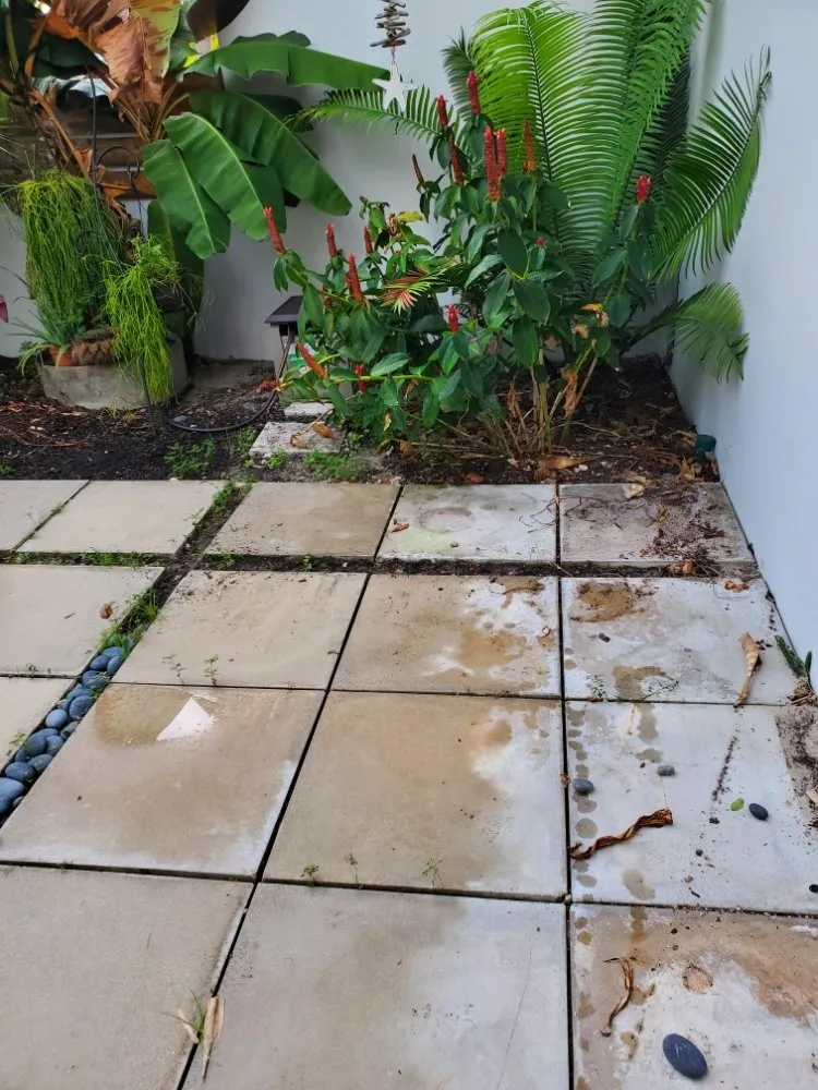 Trusted yard maintenance in Pompano Beach, FL - Valle Landscape Design and Service