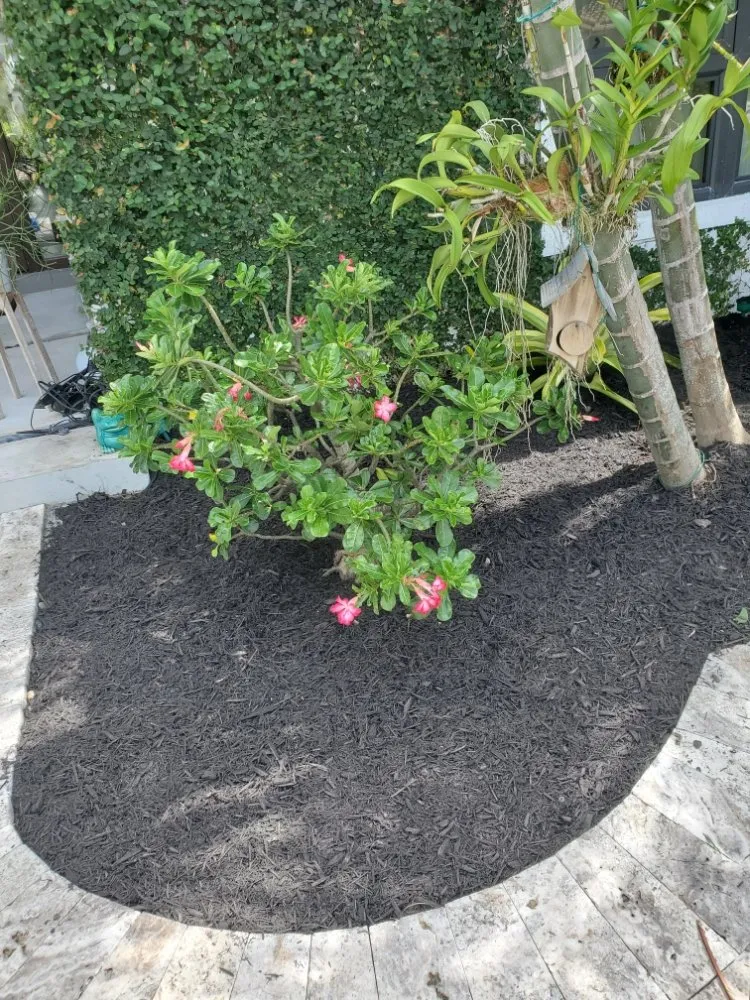 Top-rated landscape design experts serving Pompano Beach, FL - Valle Landscape Design and Service