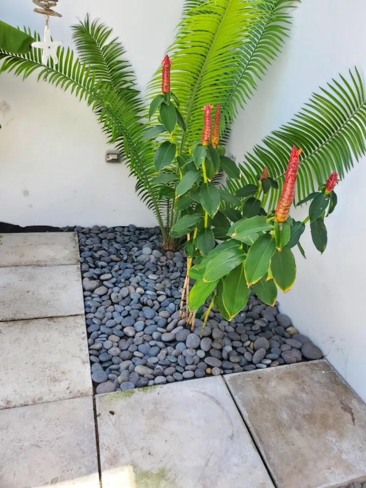 Affordable landscape installation in Pompano Beach, FL by Valle Landscape Design and Service