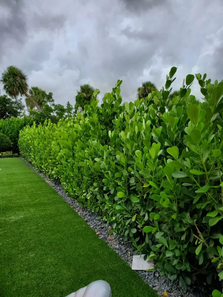 Reliable yard maintenance in Pompano Beach, FL by Valle Landscape Design and Service