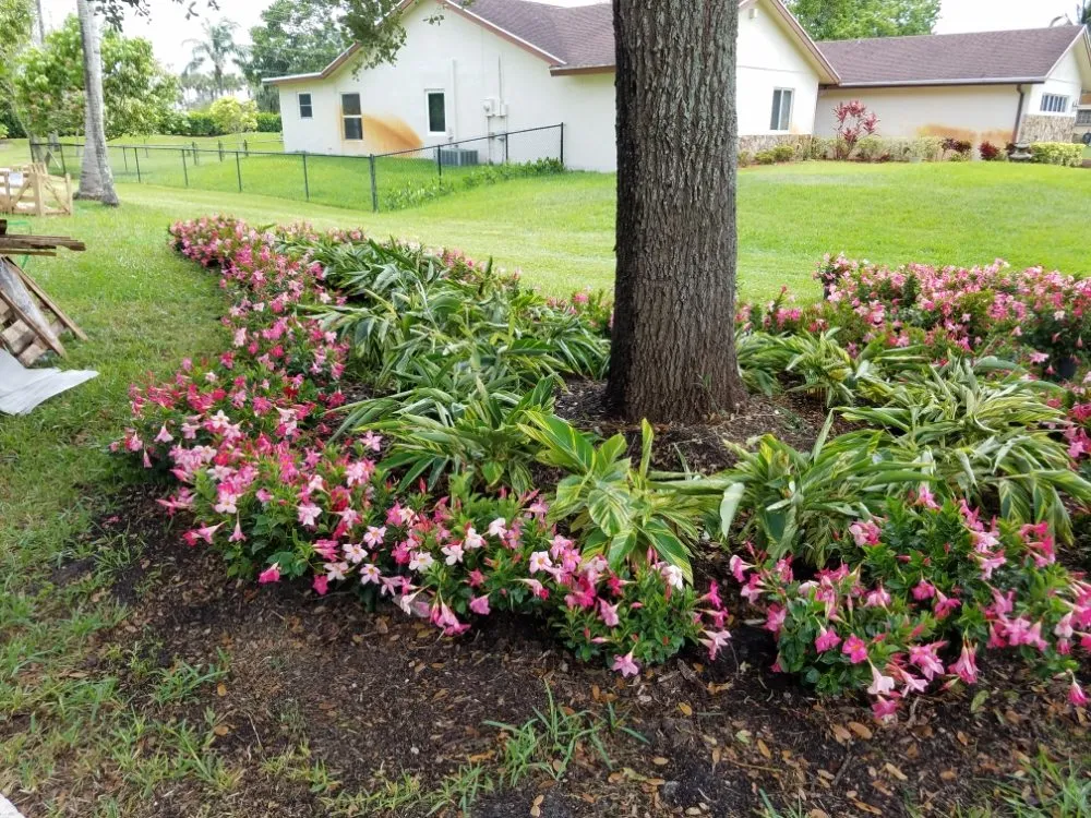 Local yard maintenance experts serving Pompano Beach, FL - Valle Landscape