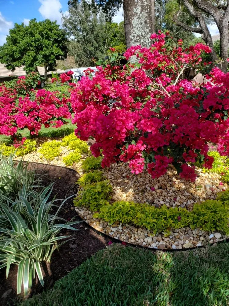 Affordable lawn mowing service in Pompano Beach, FL - Valle Landscape