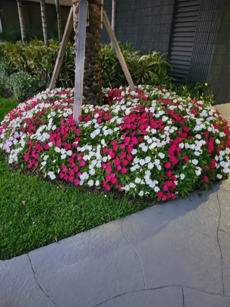 Local outdoor landscaping in Pompano Beach, FL by Valle Landscape