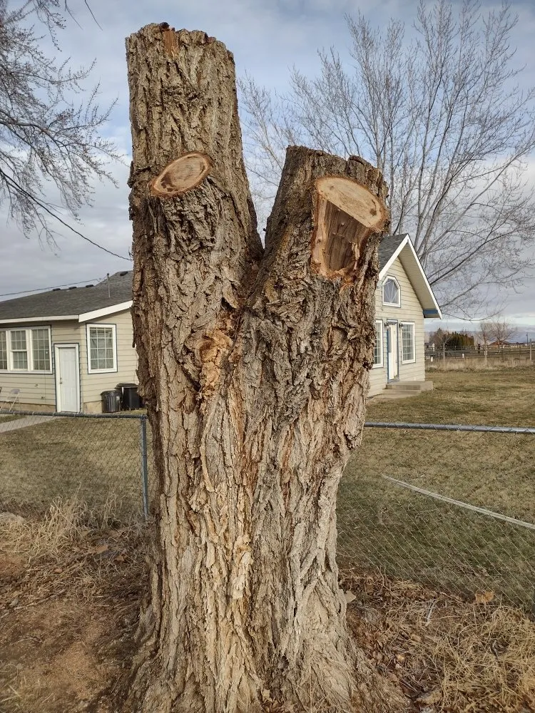 Trusted garden landscaping experts serving Yakima, WA - Valle Landscaping & Lawncare