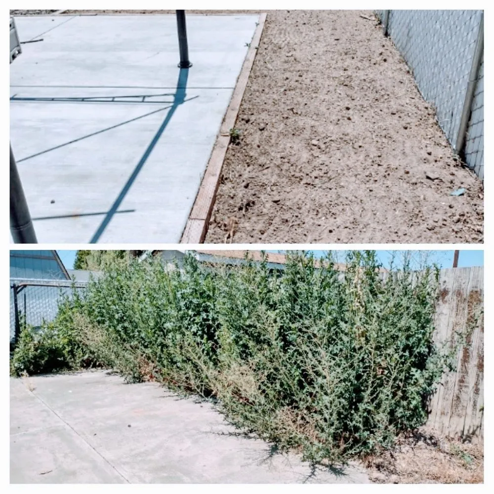 Professional landscape design experts serving Yakima, WA - Valle Landscaping & Lawncare