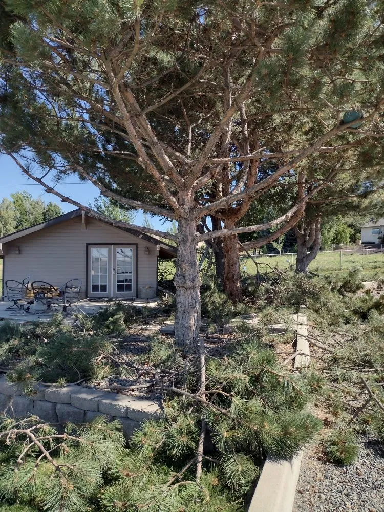 Top-rated landscaping services in Yakima, WA by Valle Landscaping & Lawncare