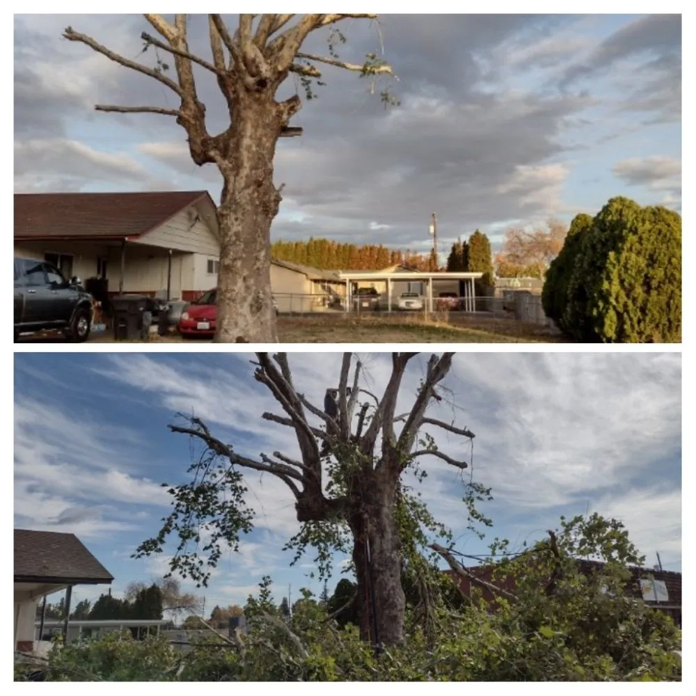 Trusted garden landscaping with custom design across Yakima, WA - Valle Landscaping & Lawncare