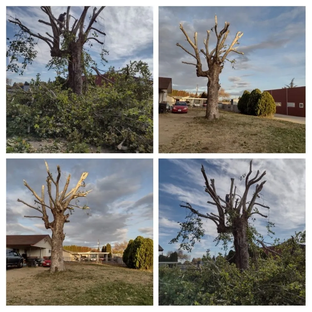 Trusted landscaping services in Yakima, WA by Valle Landscaping & Lawncare