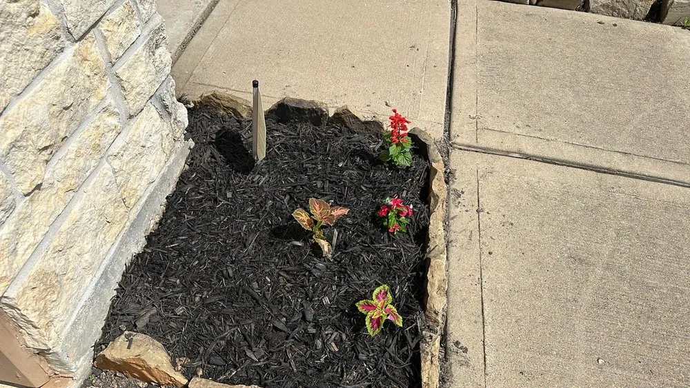 Expert landscaping services in Houston, TX by Valle Landscaping