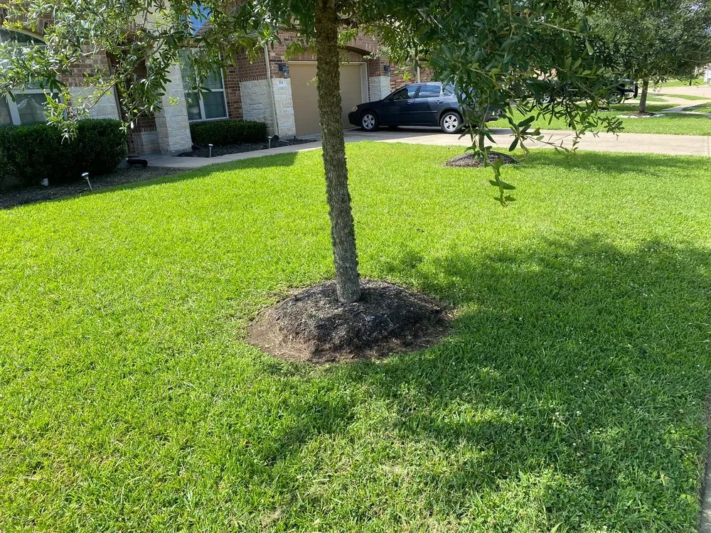 Custom yard cleanup service near you across Houston, TX - Valle Landscaping