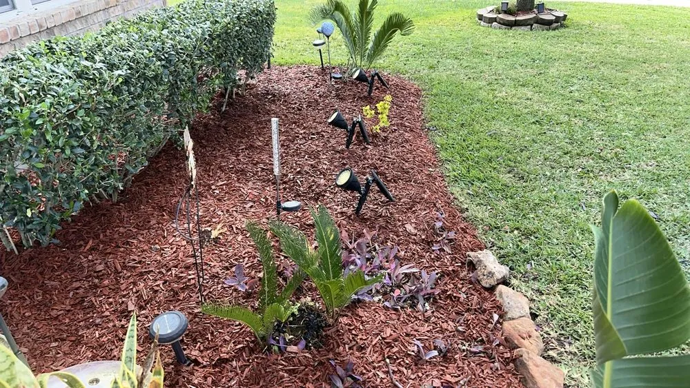 Professional landscaping services experts serving Houston, TX - Valle Landscaping
