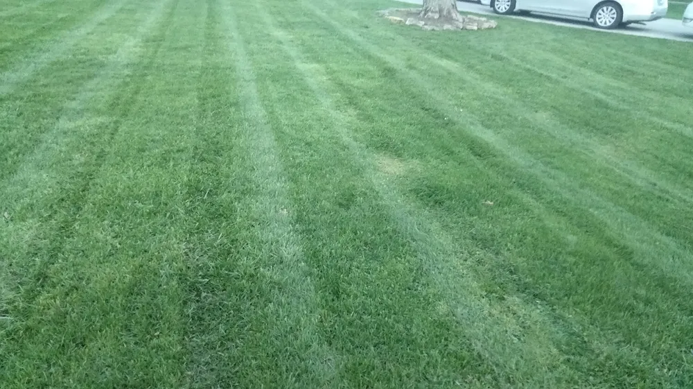 Top-rated yard maintenance in Indianapolis, IN - Valle Verde Landscaping