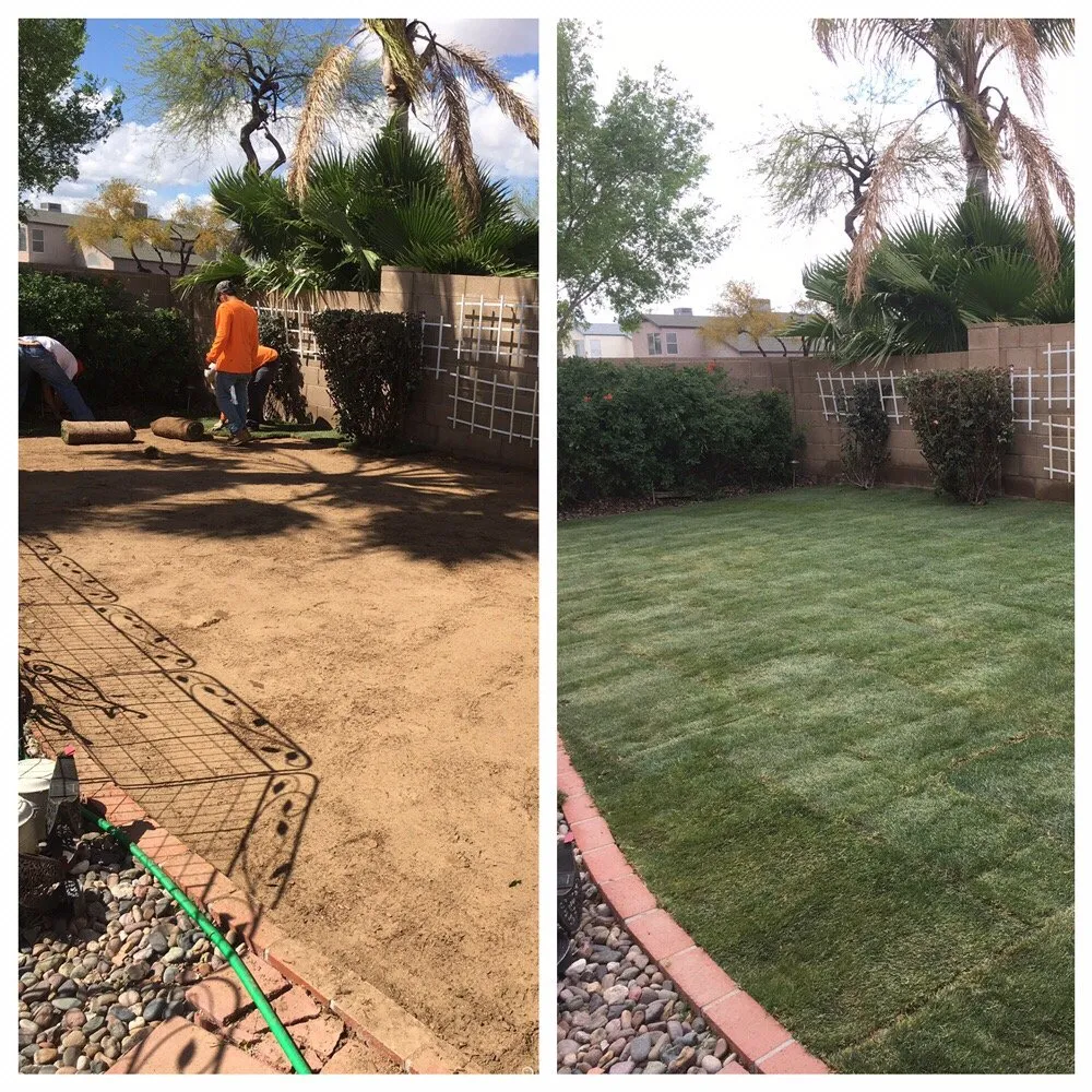 Reliable residential landscaping experts serving Phoenix, AZ - Valle Verde Lawn Care