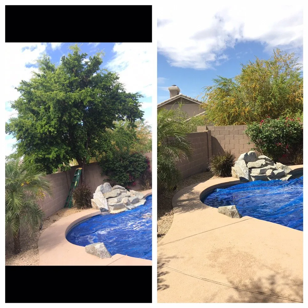 Top-rated garden landscaping experts serving Phoenix, AZ - Valle Verde Lawn Care