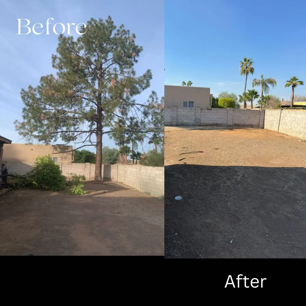 Trusted landscaping services with custom design in Phoenix, AZ by Valle Verde Lawn Care