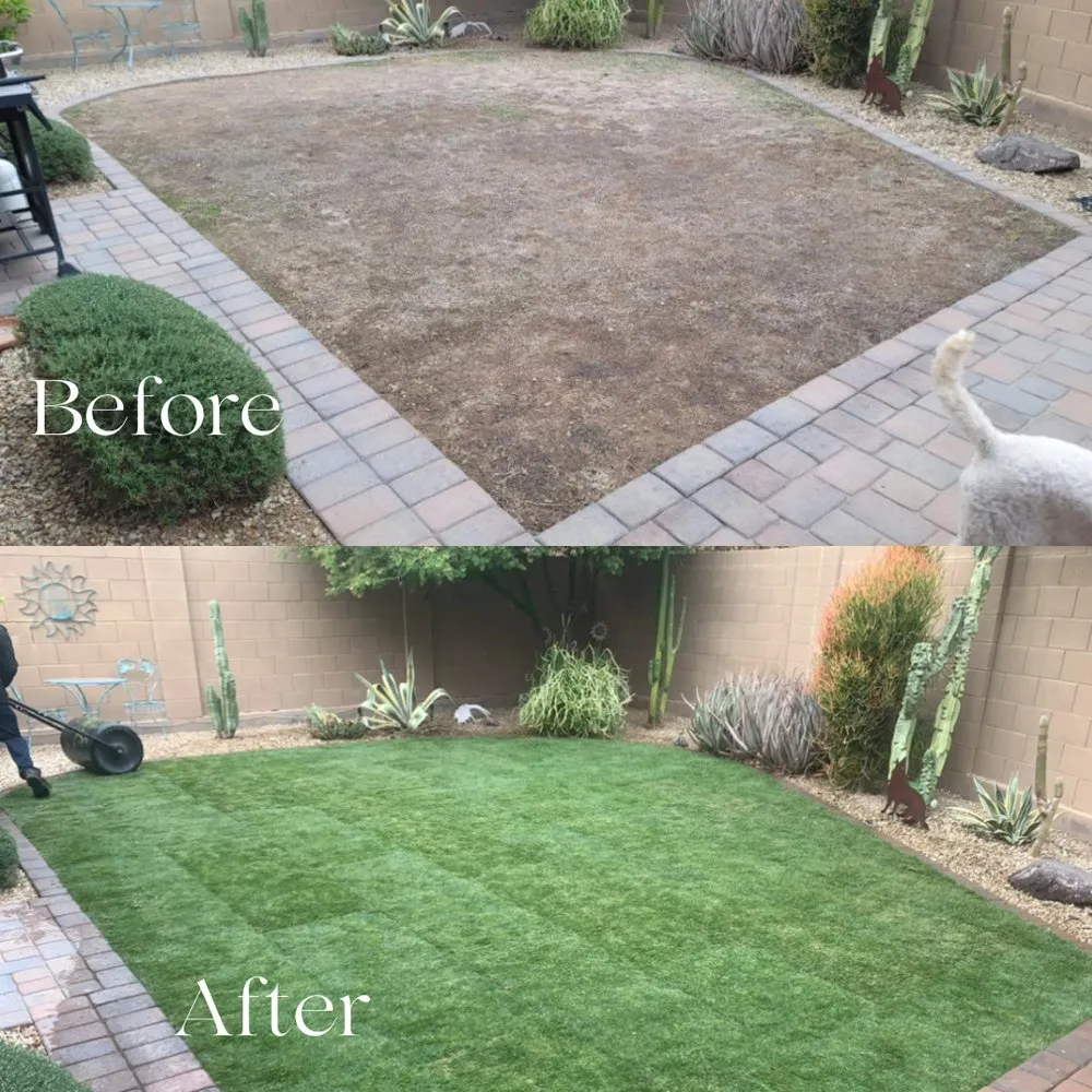 Local residential landscaping experts serving Phoenix, AZ - Valle Verde Lawn Care