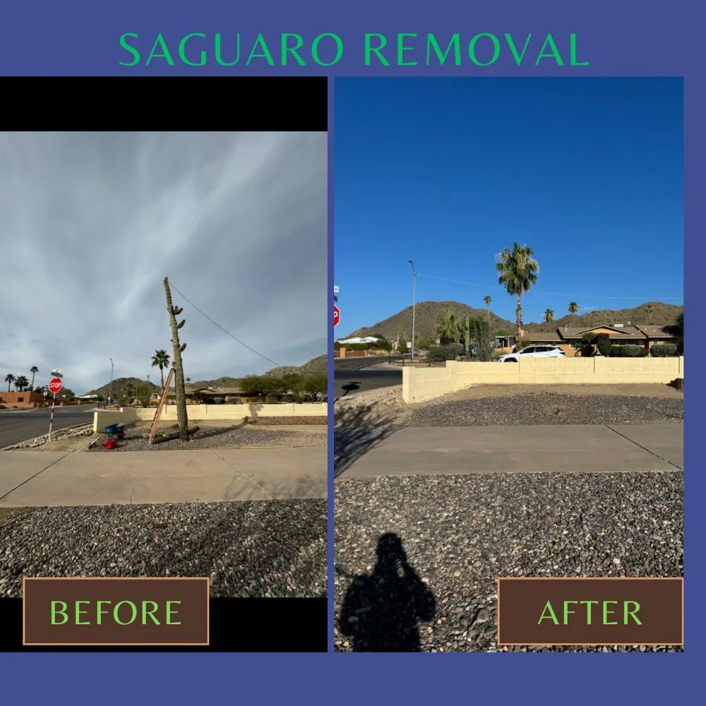 Professional landscape design experts serving Phoenix, AZ - Valle Verde Lawn Care