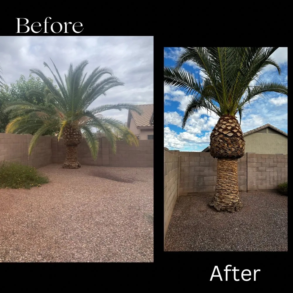 Trusted yard maintenance for outdoor upgrades across Phoenix, AZ - Valle Verde Lawn Care