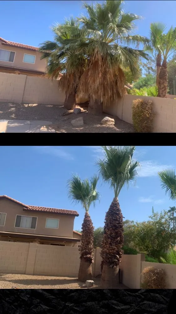 Top-rated landscaping services for homes in Phoenix, AZ by Valle Verde Lawn Care