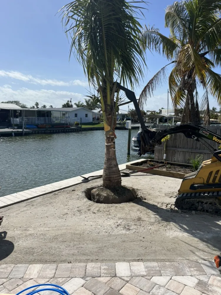 Top-rated residential landscaping in Cocoa, FL - Valle Verde Lawns