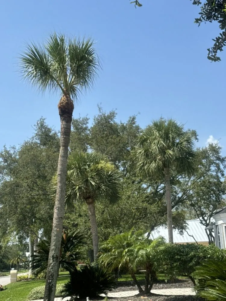 Reliable lawn mowing service experts serving Cocoa, FL - Valle Verde Lawns