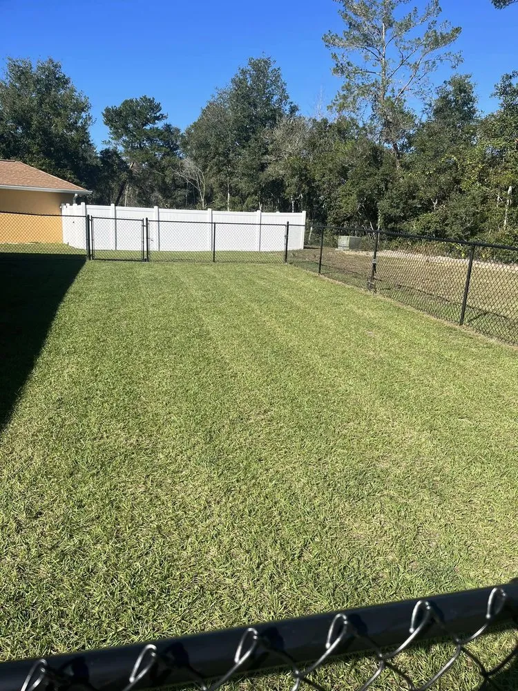 Professional landscape installation in Ocala, FL by ValleHall Lawn Care Service And More