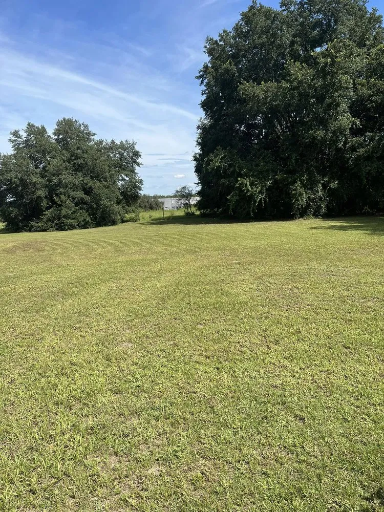 Trusted yard cleanup service experts serving Ocala, FL - ValleHall Lawn Care Service And More