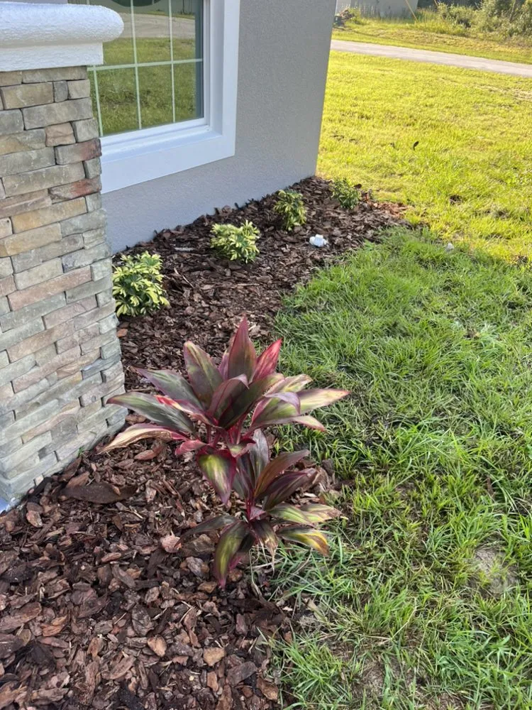 Custom landscaping services for outdoor upgrades in Ocala, FL by ValleHall Lawn Care Service And More
