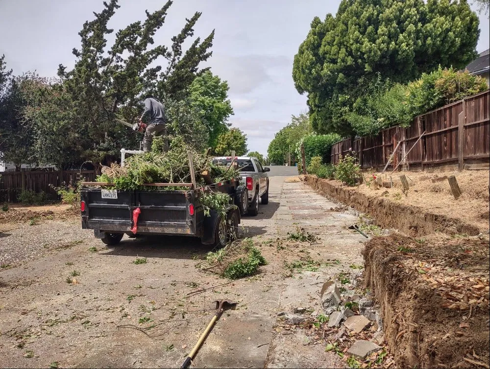 Expert landscape design experts serving Vallejo, CA - Vallejo 707