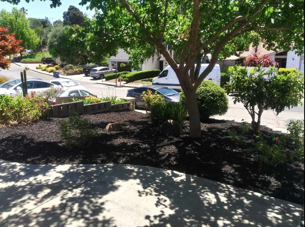 Trusted outdoor landscaping experts serving Vallejo, CA - Vallejo 707