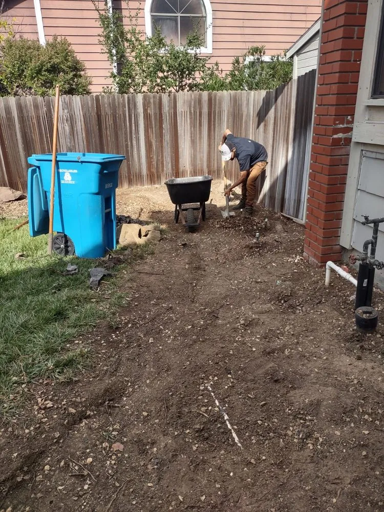 Professional lawn care service experts serving Vallejo, CA - Vallejo 707