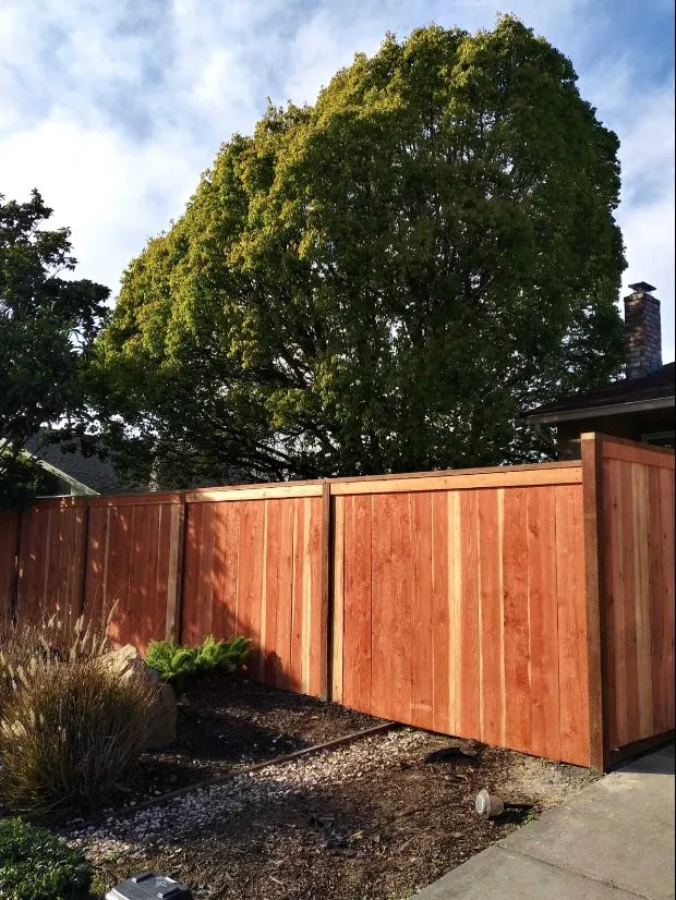Trusted landscape design experts serving Vallejo, CA - Vallejo 707