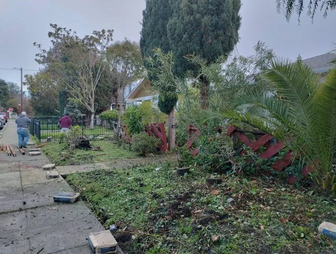 Expert residential landscaping in Vallejo, CA - Vallejo 707