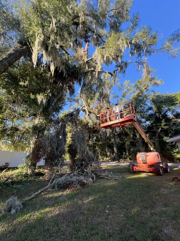 Trusted landscaping services in Ocala, FL by Vallejo Family Land Services