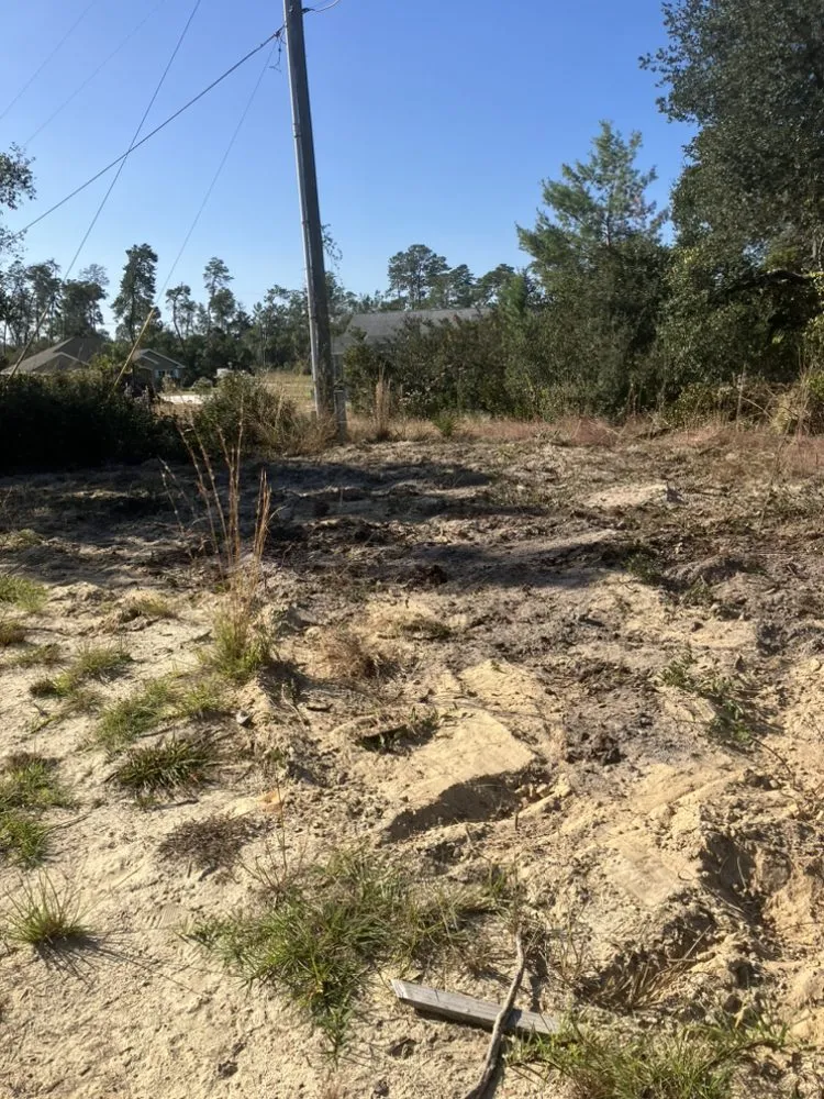 Reliable residential landscaping for year-round maintenance across Ocala, FL - Vallejo Family Land Services