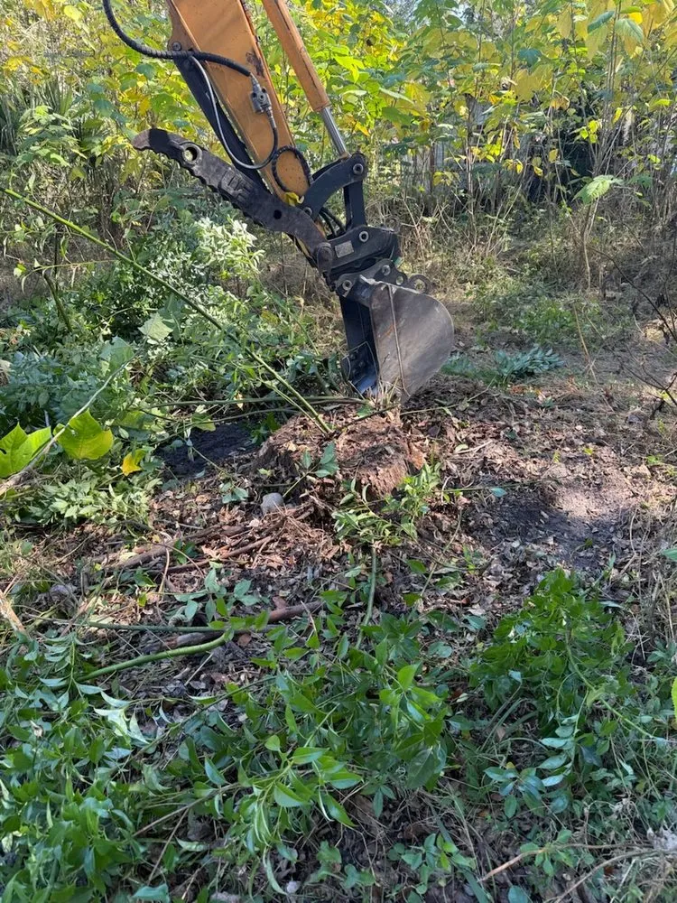 Reliable landscape design in Ocala, FL - Vallejo Family Land Services