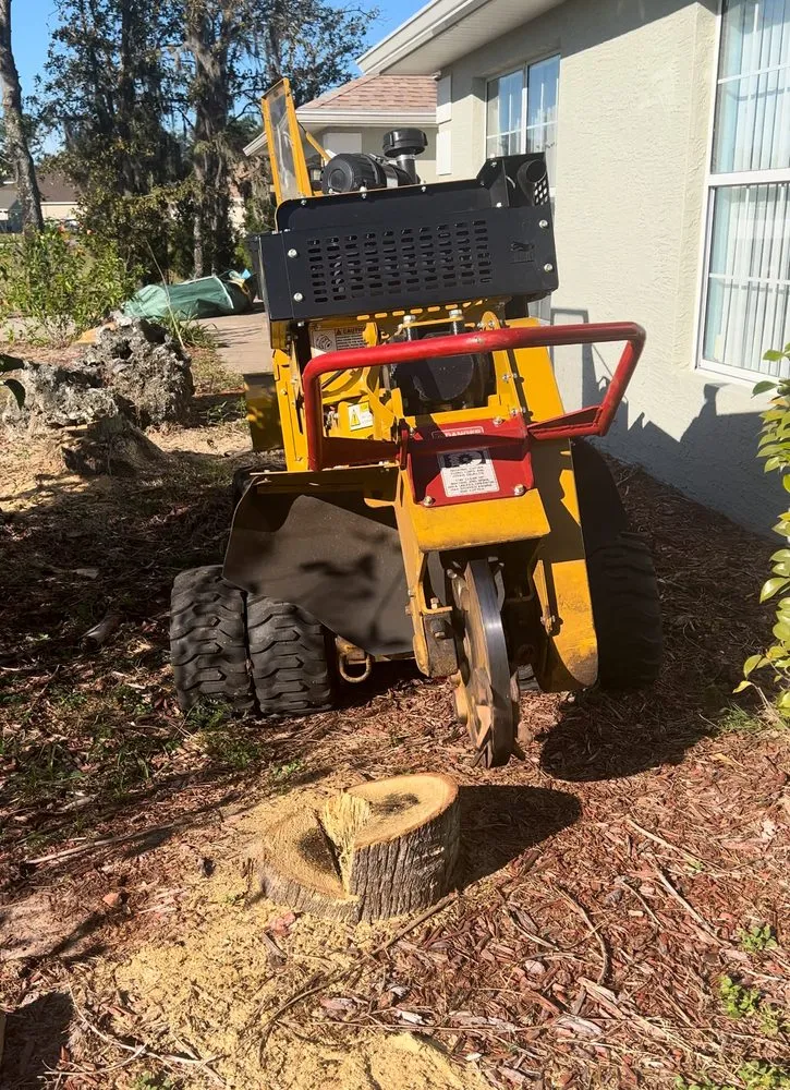 Expert landscape design in Ocala, FL - Vallejo Family Land Services