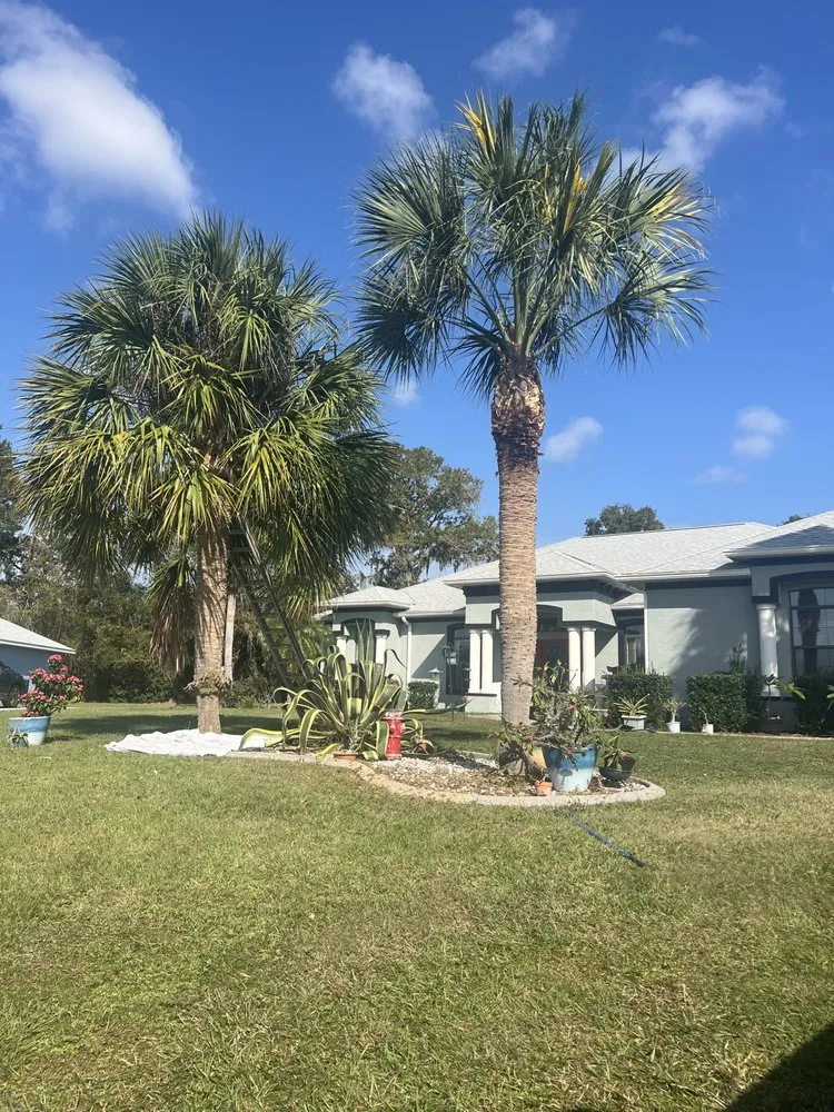 Local landscaping services in Ocala, FL - Vallejo Family Land Services