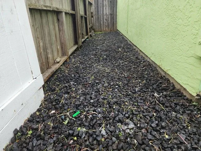 Custom yard maintenance for year-round maintenance in Vallejo, CA by Vallejo Grass Master
