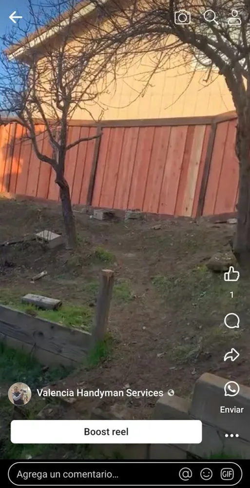 Affordable yard cleanup service in Vallejo, CA by Vallejo Grass Master