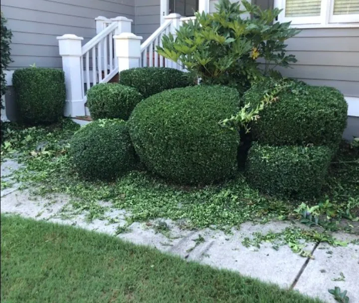 Reliable garden landscaping in Asheville, NC by Vallejo Landscaping