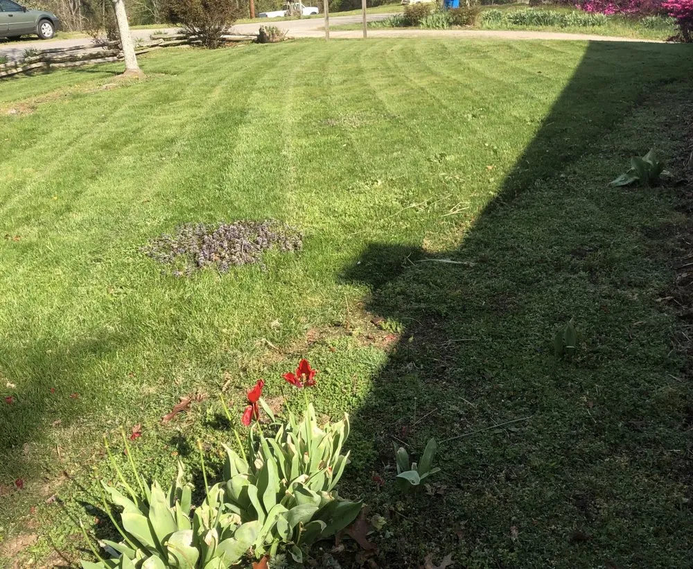 Affordable yard maintenance for year-round maintenance in Asheville, NC by Vallejo Landscaping